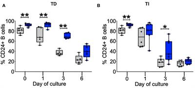 In vitro B cell experiments explore the role of CD24, CD38, and energy metabolism in ME/CFS